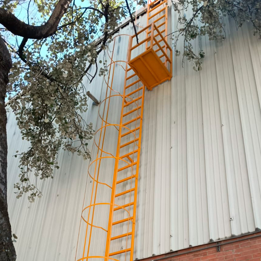 Escalera marina para bodega e industria